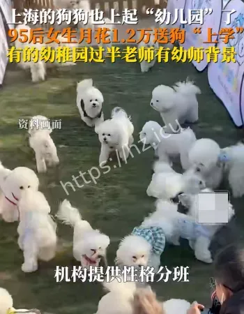 花1.2万送狗上学